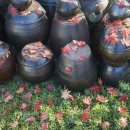 바람불어 좋은날 이미지