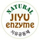 지유 공동체