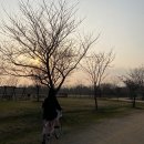 을숙도 자전거 무료대여소 이미지