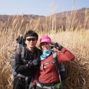 정성카센타 이미지