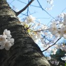 흐르는 강물을 바라 이미지