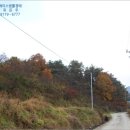 영천목장 이미지