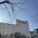 가족건강경락마사지 | 수원 금곡동마사지 중국정통북경마사지 호매실에서 제일 시원해