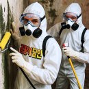 강동동물약국 | 집안 곰팡이 제거 완벽 가이드 🧼