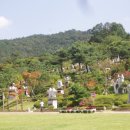 뿌리공원 이미지