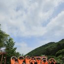 숲 태권도장 이미지