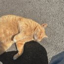 아센휘트니스 사우나 이미지