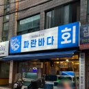 [성남] 모란 오징어회 맛집 / 해산물&amp;활어회 전문 “파란바다회” 내돈내산 후기