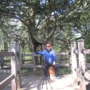 신현대렌트카 이미지