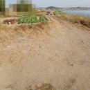 청심공인중개사사무소 이미지