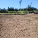 장전초등학교 이미지