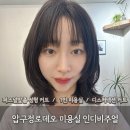 인디각건축디자인 | 압구정로데오미용실 커트잘하는미용실 인디비주얼 인생커트디자인 추천
