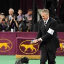 Blue dog club 이미지