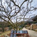 종가집 남도가든 | 강진여행 남도한상 미식 청자골종가집 백련사 다산초당 백운차실 월남사지