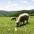 호텔 볼 이미지