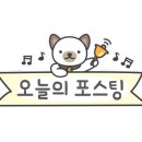 명석손두부