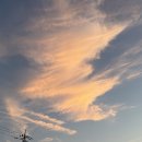 마들렌 펜션 이미지