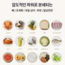에코푸드시스템 | 음식물쓰레기 처리기 추천 ㅣ 건조분쇄형 푸드사이클러에코3 솔직 후기 ㅣ 음처기 보조금 신청 방법