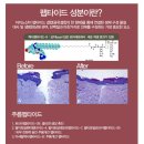 경성제약장박사 - 유성구 도룡동 | 경성제약장박사