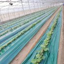 푸름농장 이미지