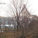 조현리 조현길 이미지