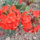 연성어린이집 이미지