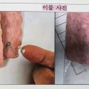 브랜드햄 이미지