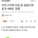 비아그라에 xx즙 곁들이면 효과 4배 이미지