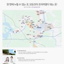 일동미라주 이미지