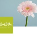 드림아일랜드 | W16ෆ. 신혼여행 준비(예약) : 드림아일랜드 두바이-모리셔스 계약 후기 (견적 공유)