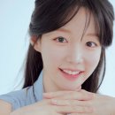 비스타매니지먼트 스포츠경향