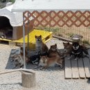 옹기종기 이미지