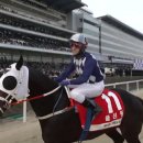 에이스팜 코리아 | 서울경마장 그랑프리(G1) 다실바 기수의 부산 클린원 우승