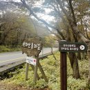 둘레길1구간 | 한라산 둘레길 1구간(천아 숲길) 제주도 단풍 명소