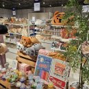 김세진소아청소년과의원 이미지