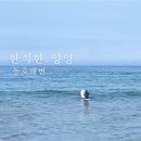 (주)코리아세븐 양양동호비치점 | 한적한 양양 : 동호해변과 해변 노천 포차