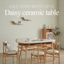 코스트코 6월 넷째주 비식품 할인 총정리｜스케쳐스·선풍기·가전·의류까지 72종