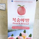 하양송송제빵소 | 빵지순례 하양송송제빵소 SNS에서 핫한 복숭아빵 솔직후기