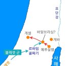 다윗 CO. 이미지