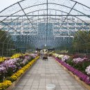 구청 남측광장 이미지