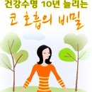 건강수명 10년 늘리는 코 호흡의 비밀 이미지