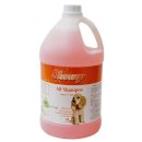 뽀독뽀독 이미지