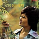 바다가 육지라면 / 조미미 이미지