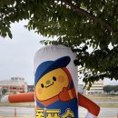 맘모스LPG충전소 | 대전자동세차장 노터치세차장 후기