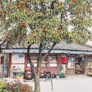 구멍가개 - 김포시 걸포2로 83 | 구멍가개