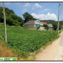 여주-0660 네이버블로그