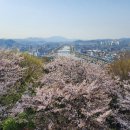 강남정공원 이미지