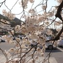 수피아어린이집 이미지