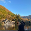 공지호 카카오 검색결과