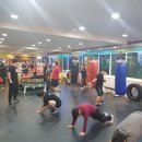 용인대부평복싱 이미지